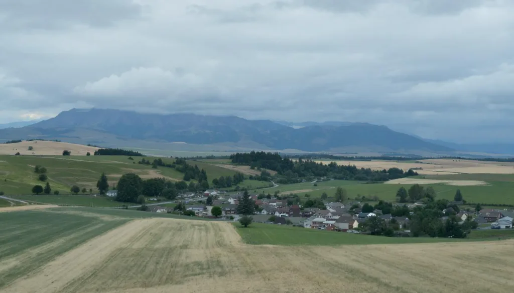 scopri cosa mi ha rivelato il fatto di non rifare il letto per 6 mesi sulla mia personalità: un viaggio sorprendente dentro me stesso.